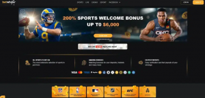 Website design & user experience 