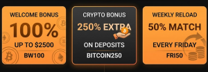 BetWhale bonus codes overview
