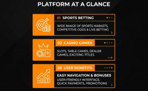 What is BetWhale? Platform at a glance
